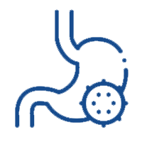 IBS Service