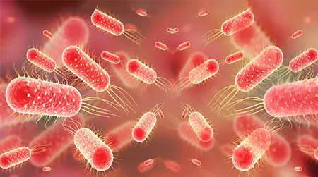 Acute Typhoid