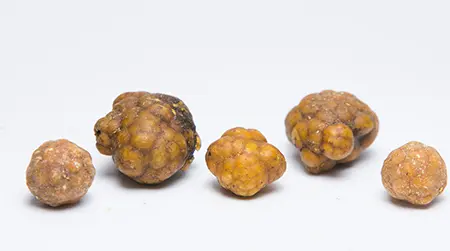 Large Stones